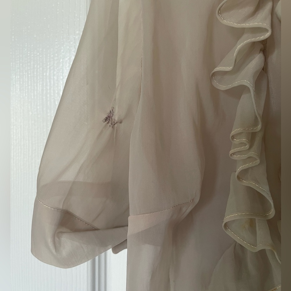 Vintage Ruffle Blouse - Picture 5 of 7